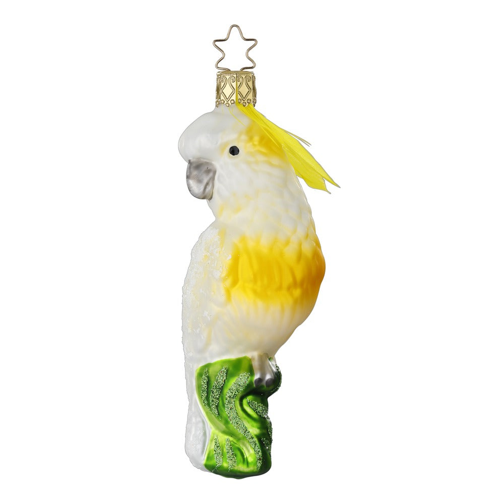 Cockatoo, 4.8''