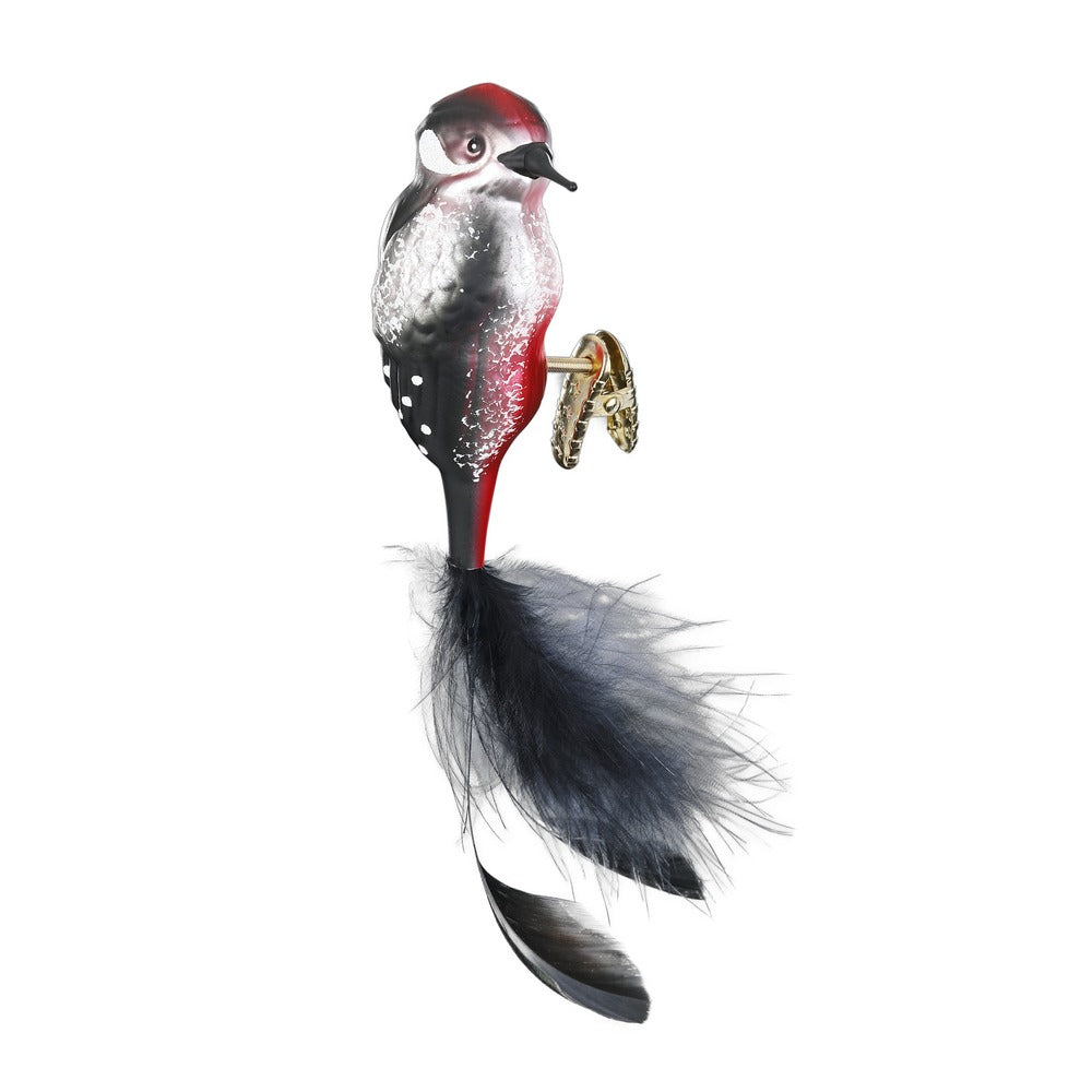 Spotted Woodpecker, 4''