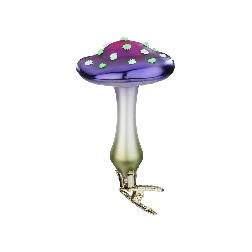 Laccaria, 9 cm