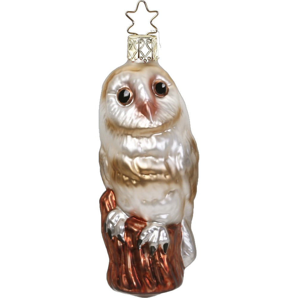 Schleiereule, 9.5 cm