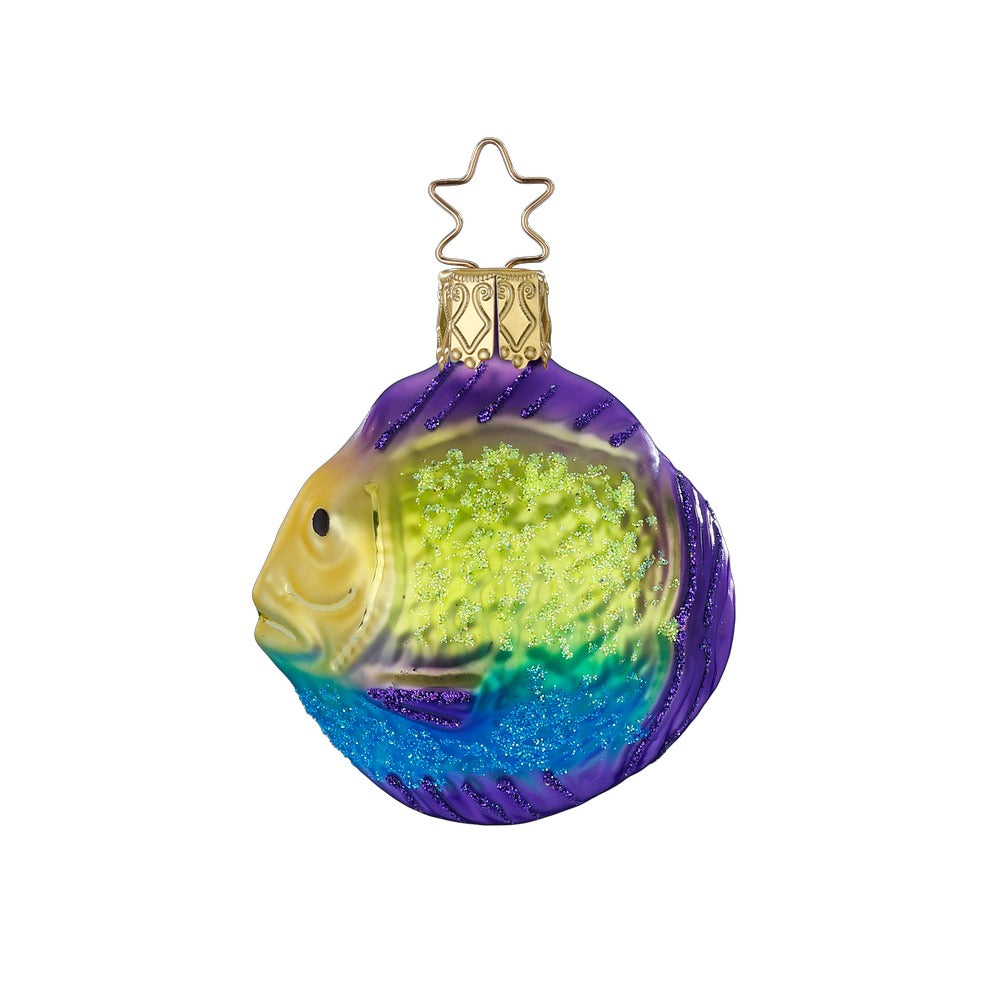 Pufferfish, 2.4''
