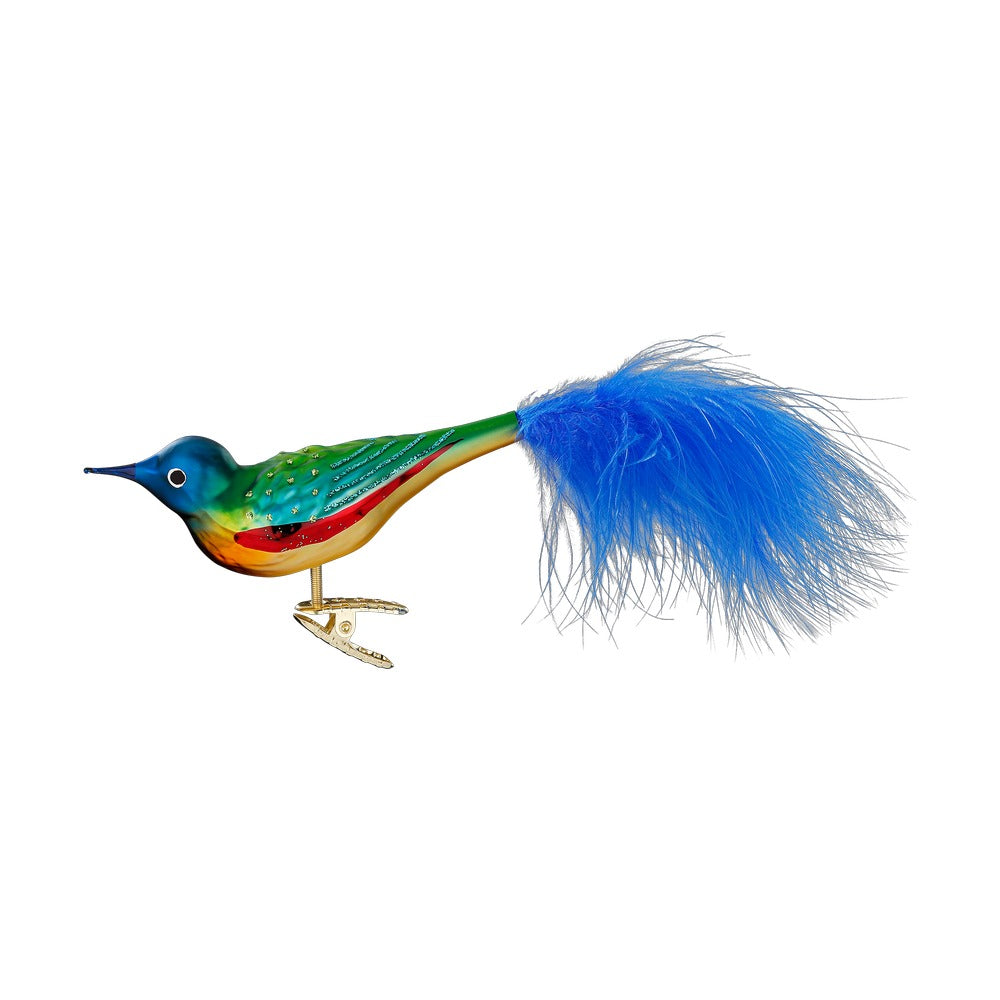 Paradiesschnäpper, 11 cm