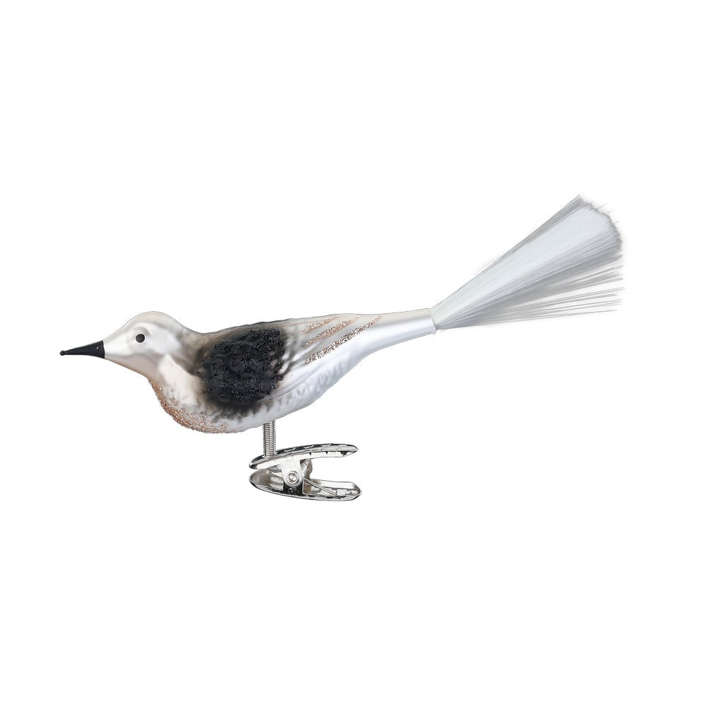Mönchsgrasmücke, 10 cm