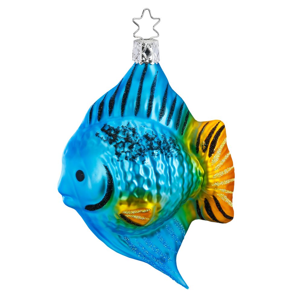 Surgeonfish, 4.4''
