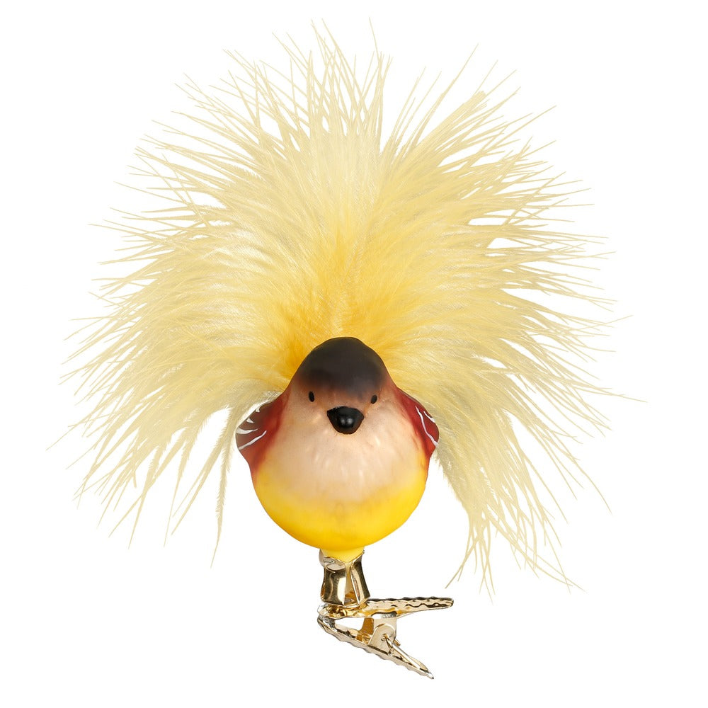 Rudi, 5.5 cm