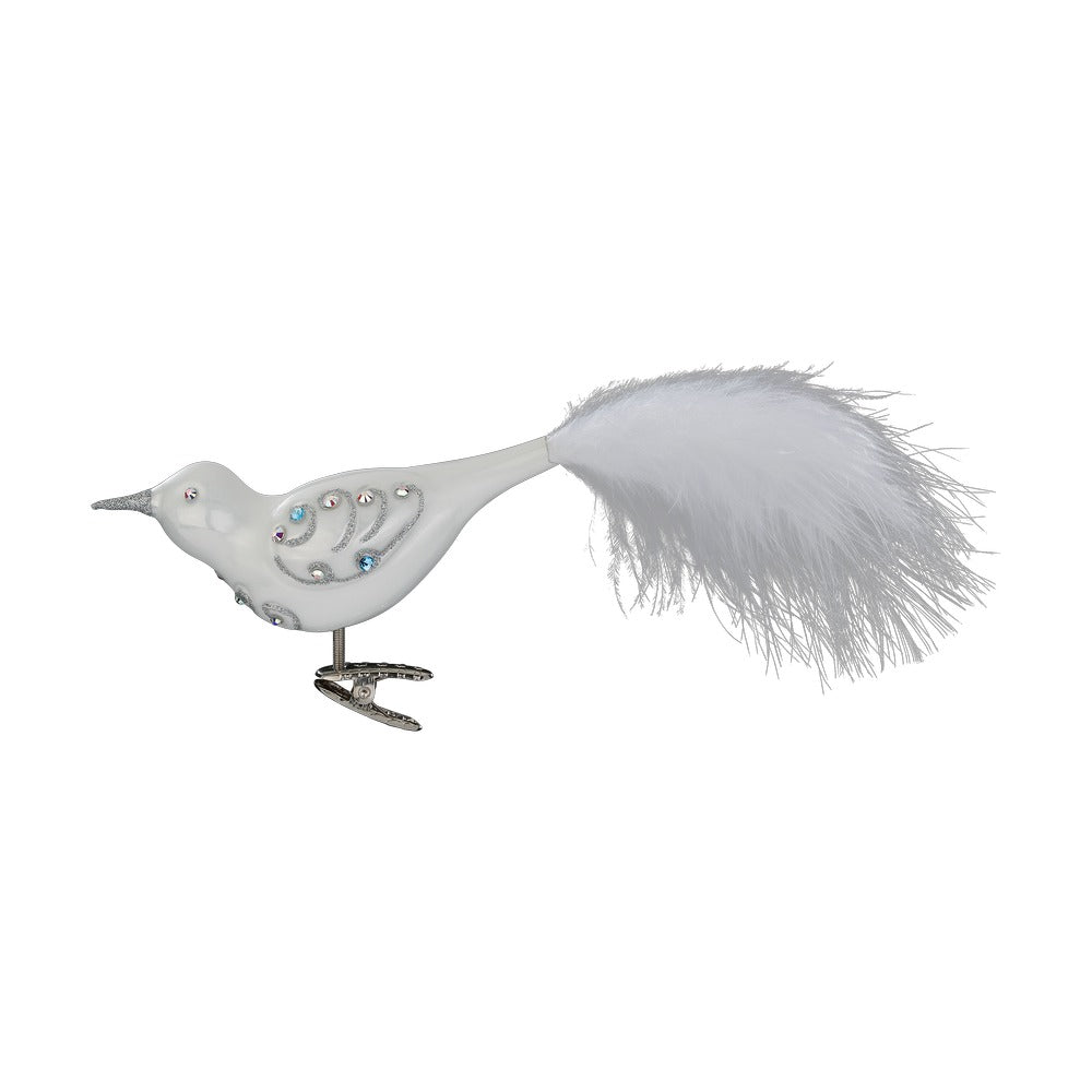 Prächtiges Gefieder, 11.5 cm