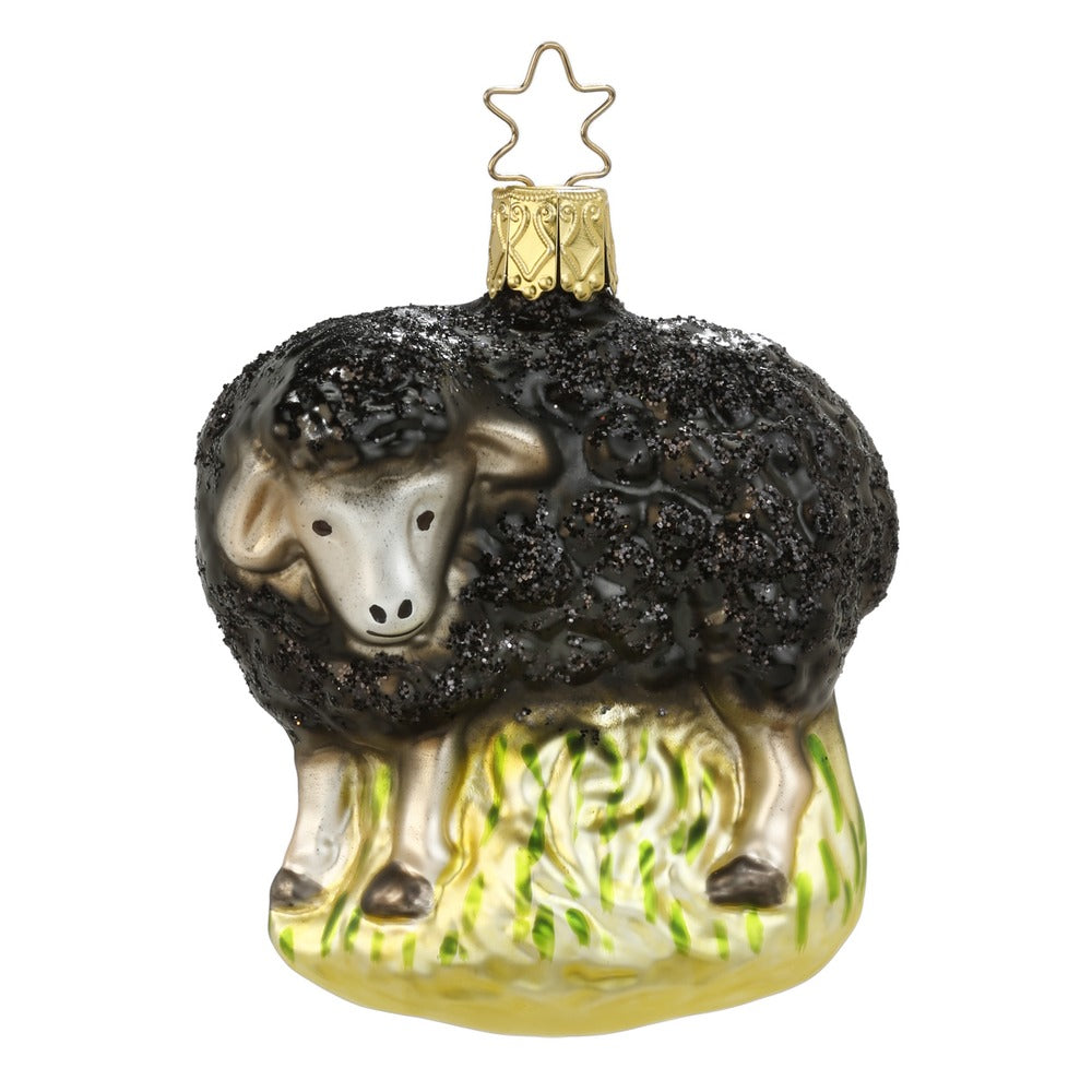 Schwarzes Schaf, 8 cm