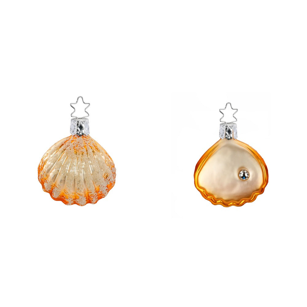 Sea Shell, 2.2''