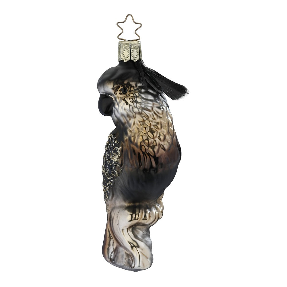 Goldbird, 4.8''