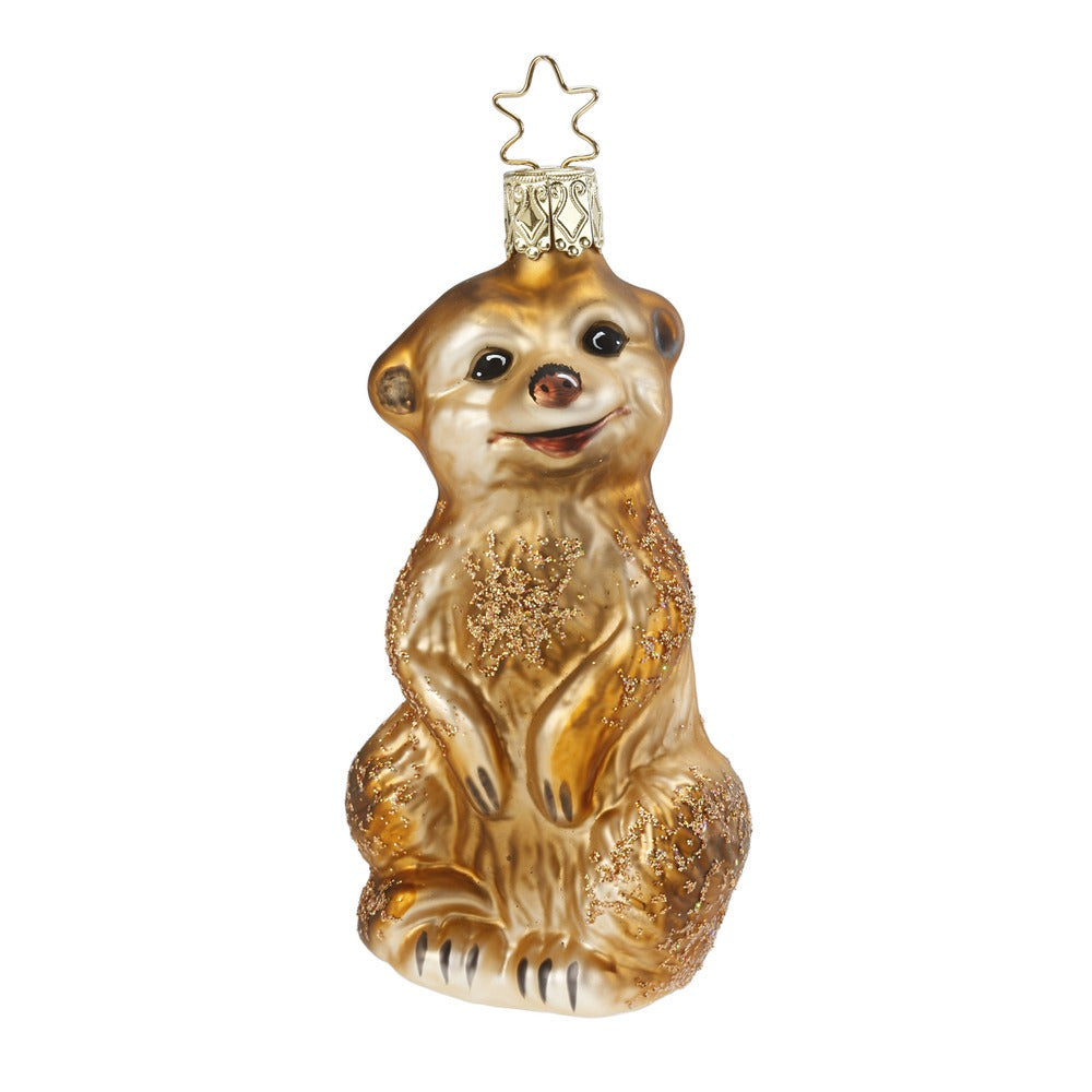 South African Meerkat, 4''