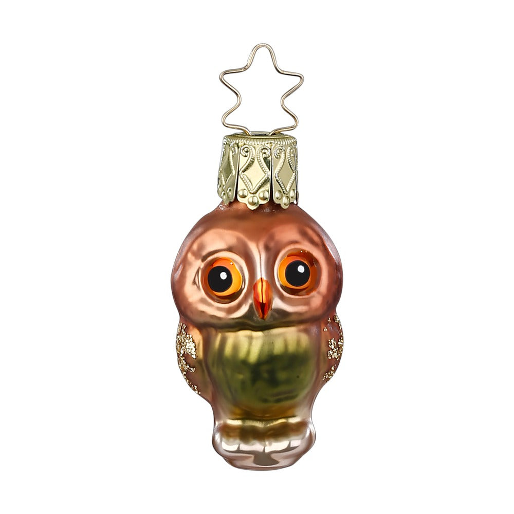 Little Owl, 2''
