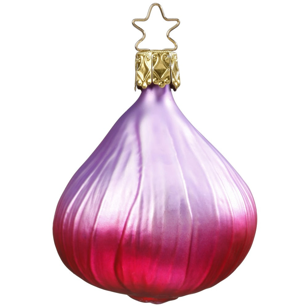 Rote Zwiebel, 6.5 cm