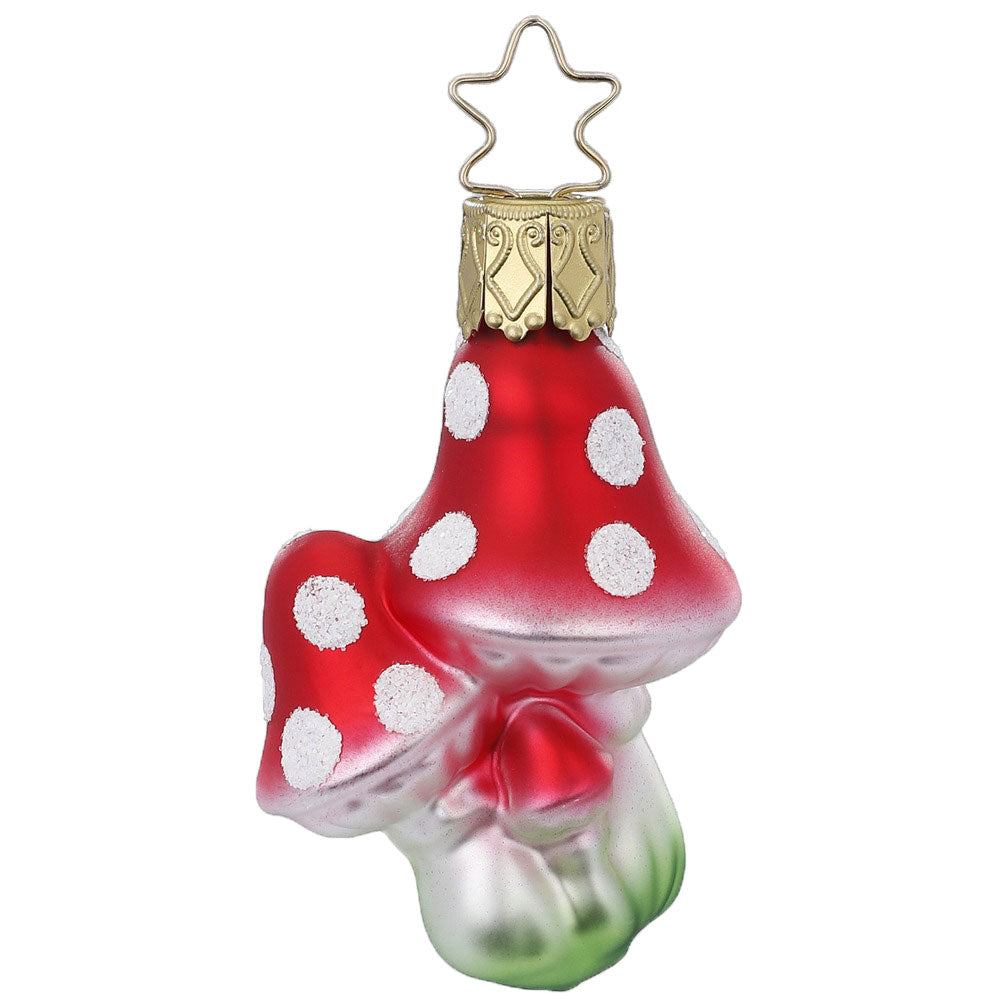 Mini Mushroom, 2.4''