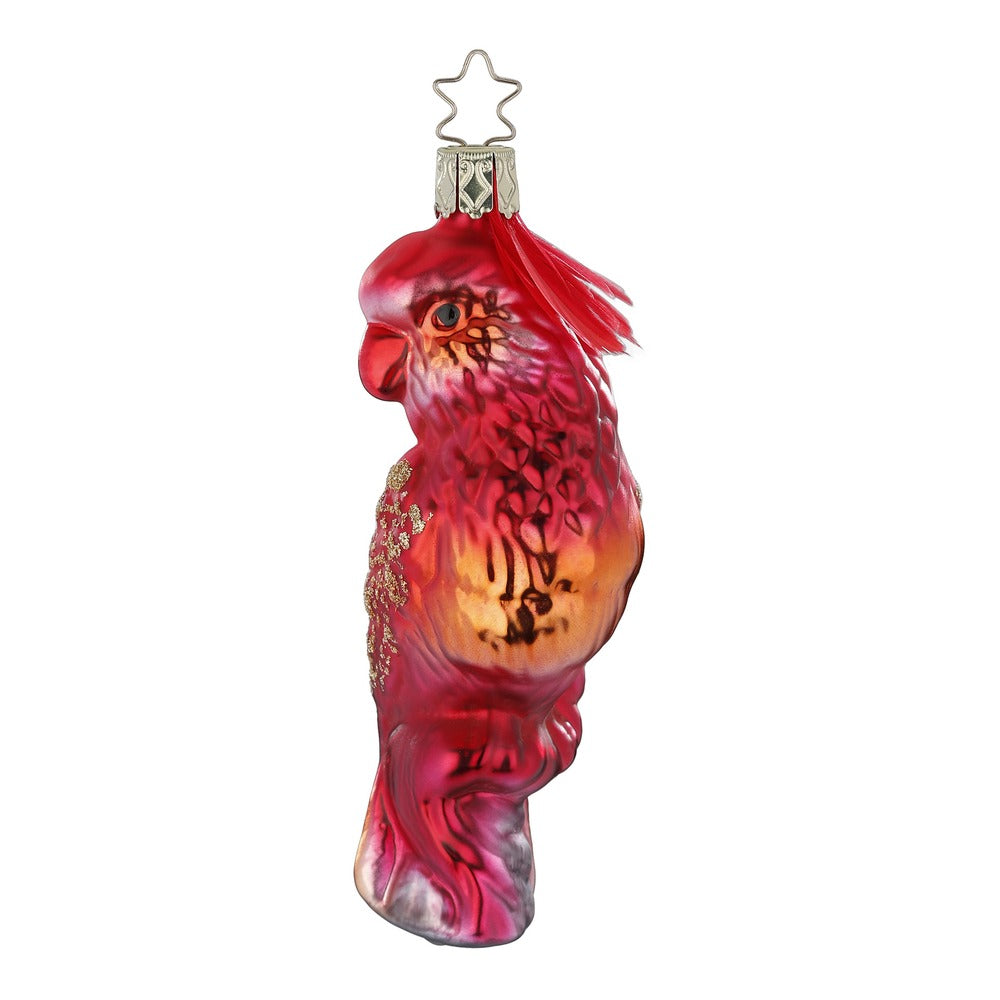 Firebird, 4.8''