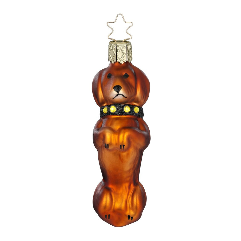 Brillanter Kurzhaardackel, hellbraun, 9.5 cm