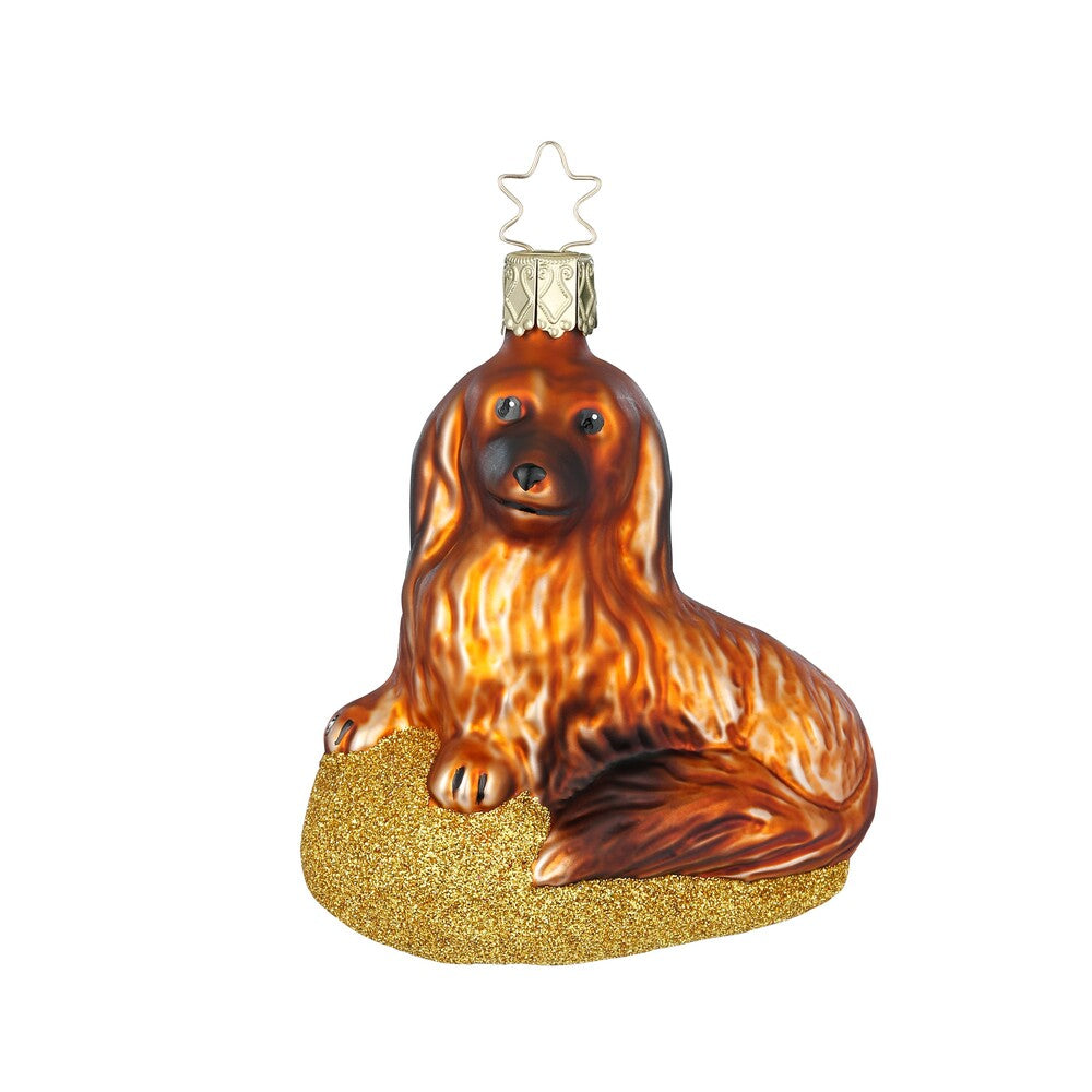 Long-Haired Dachshund, 3.6''