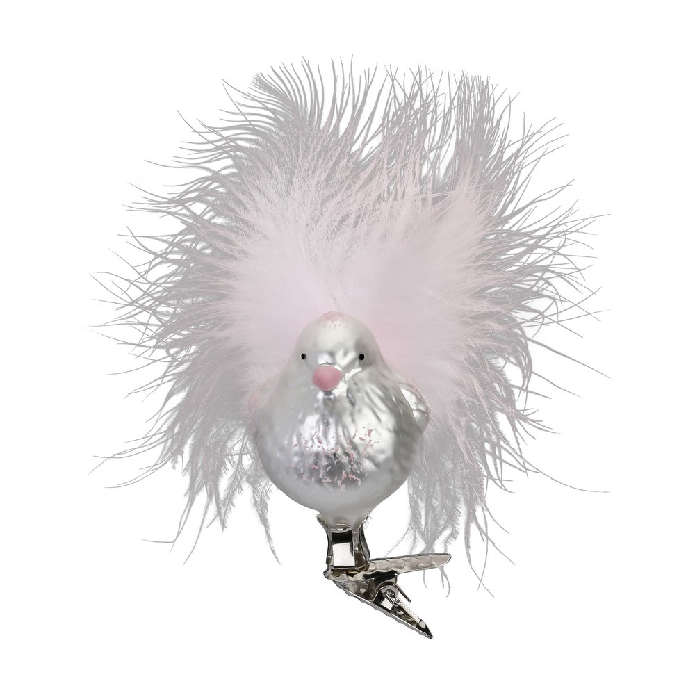Sweety, 5.5 cm