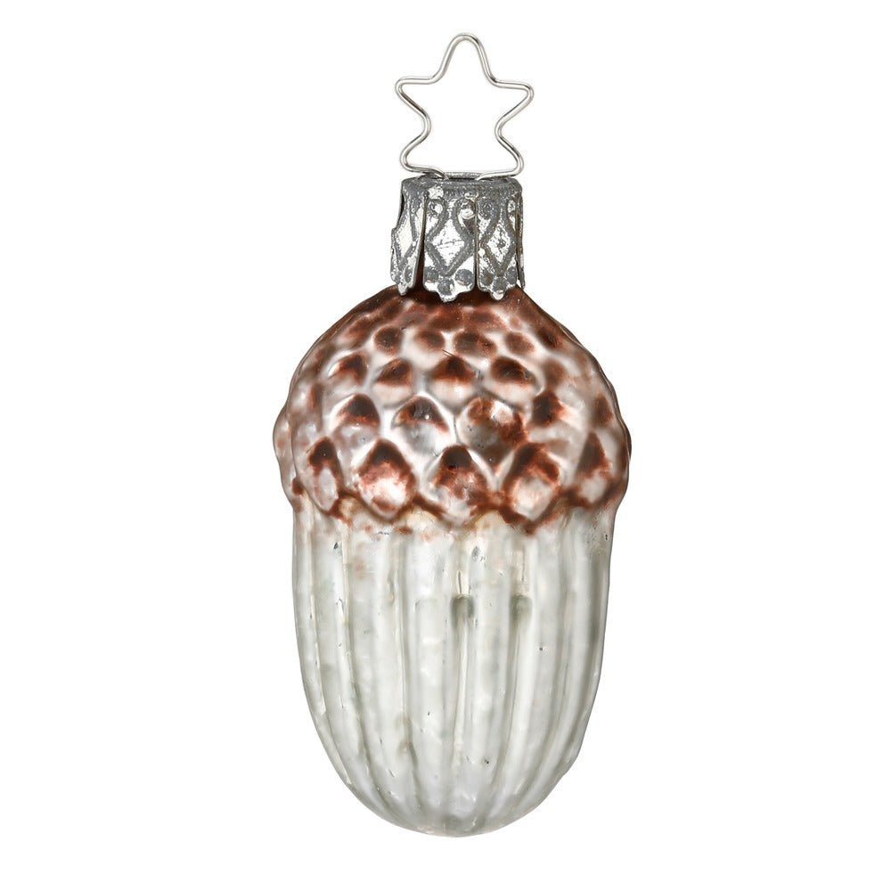 Acorn, 2.4''