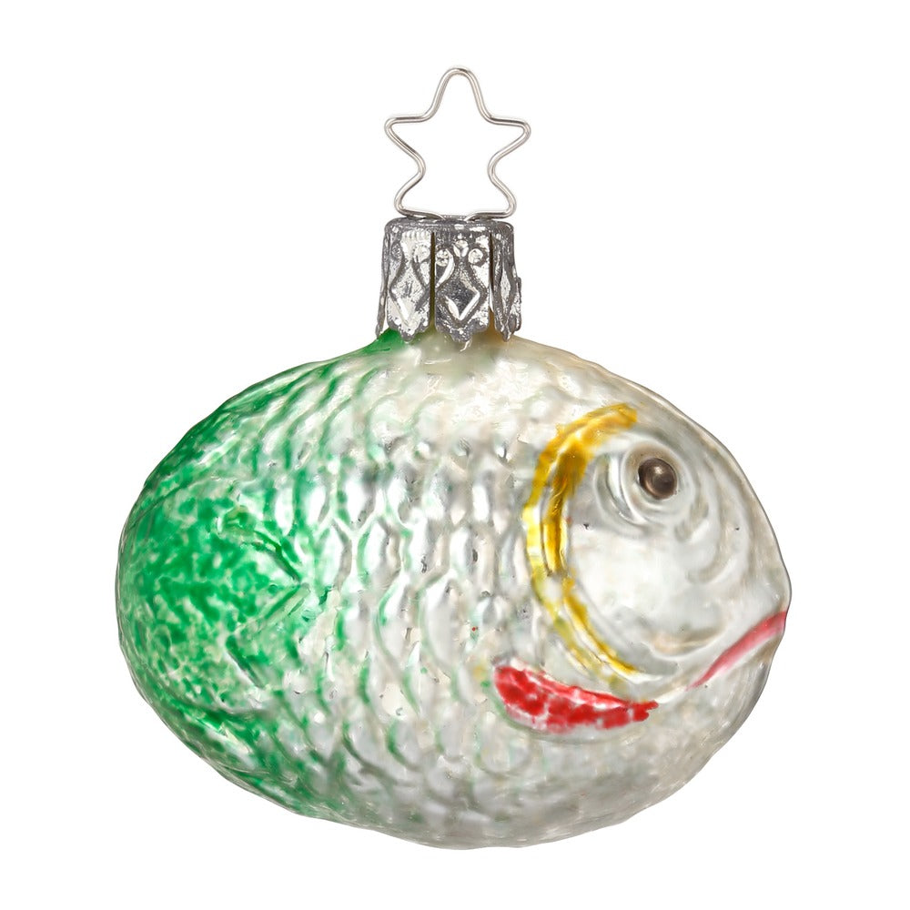 Kugelfisch, 5.5 cm