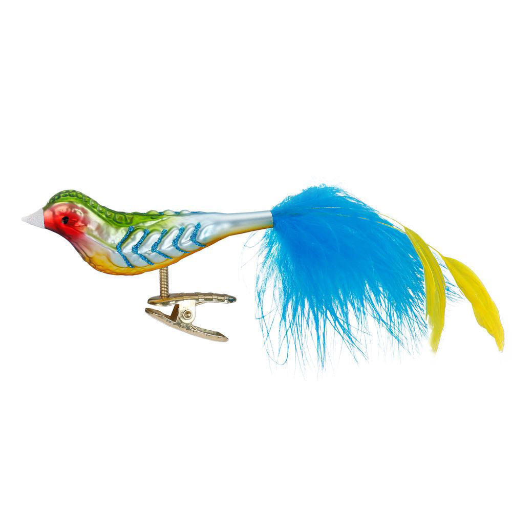 Regenbogenfink, 10 cm