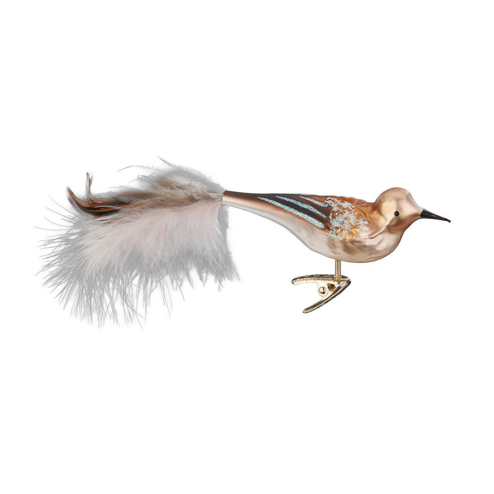 Singdrossel, 11 cm