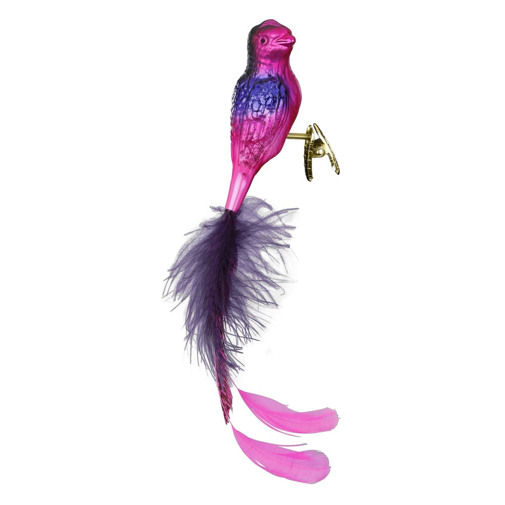 Phantasievogel, 10 cm