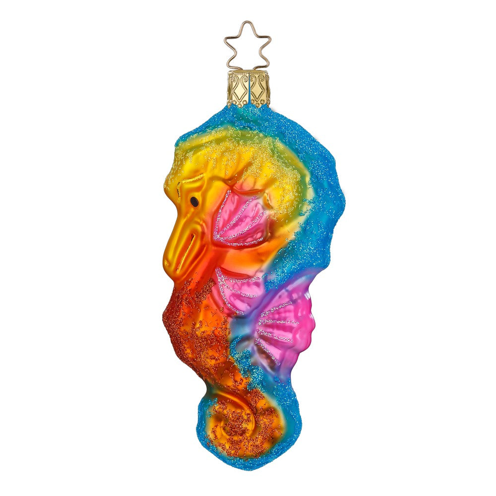 Sea Horse, 5''