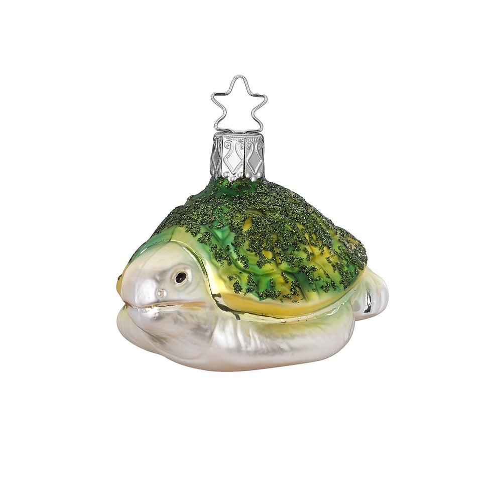 Ocean Turtle, 2.4''