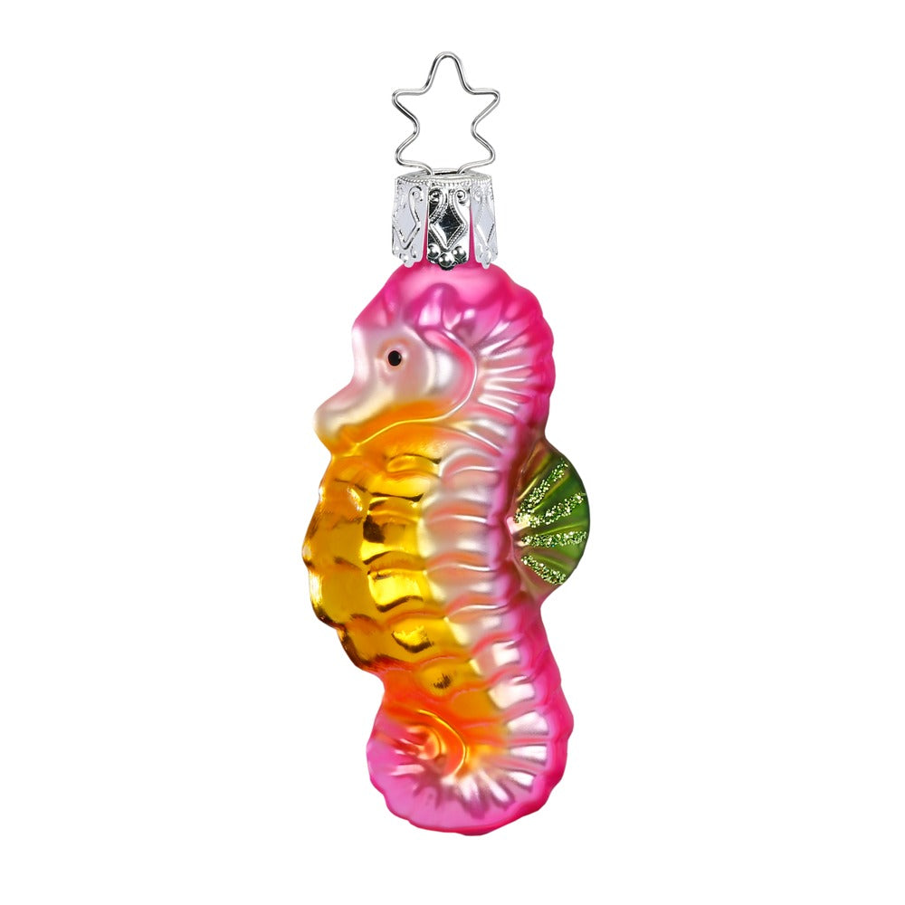 Sea Horse, 3''