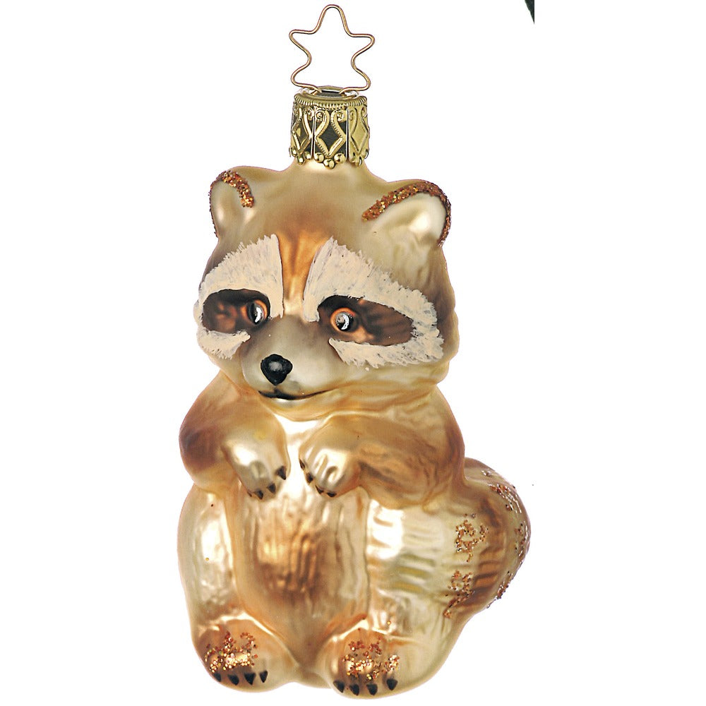 Waschbär, 9 cm
