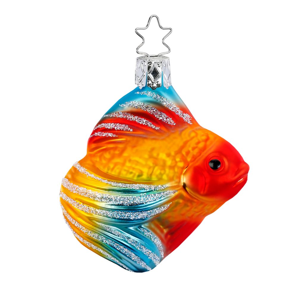 Veiltail Goldfish, 3.2''