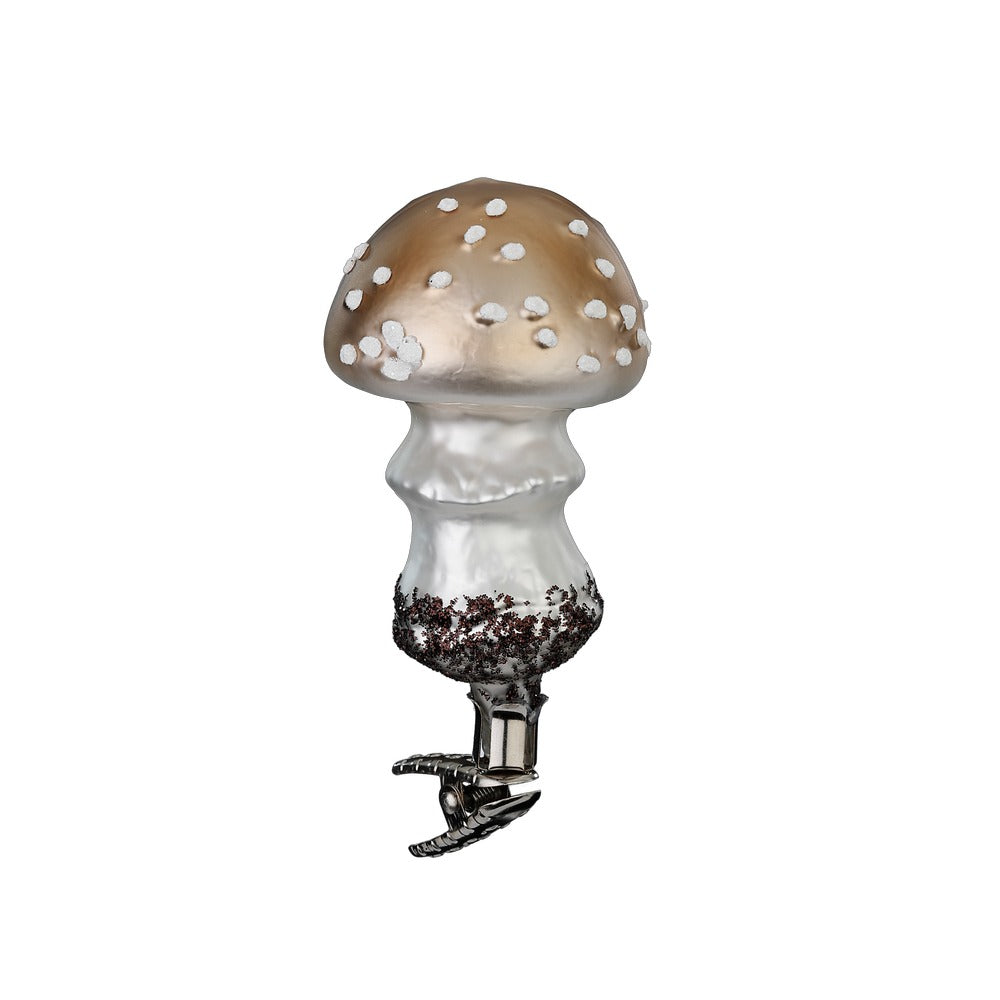 Perlpilz, 9.5 cm