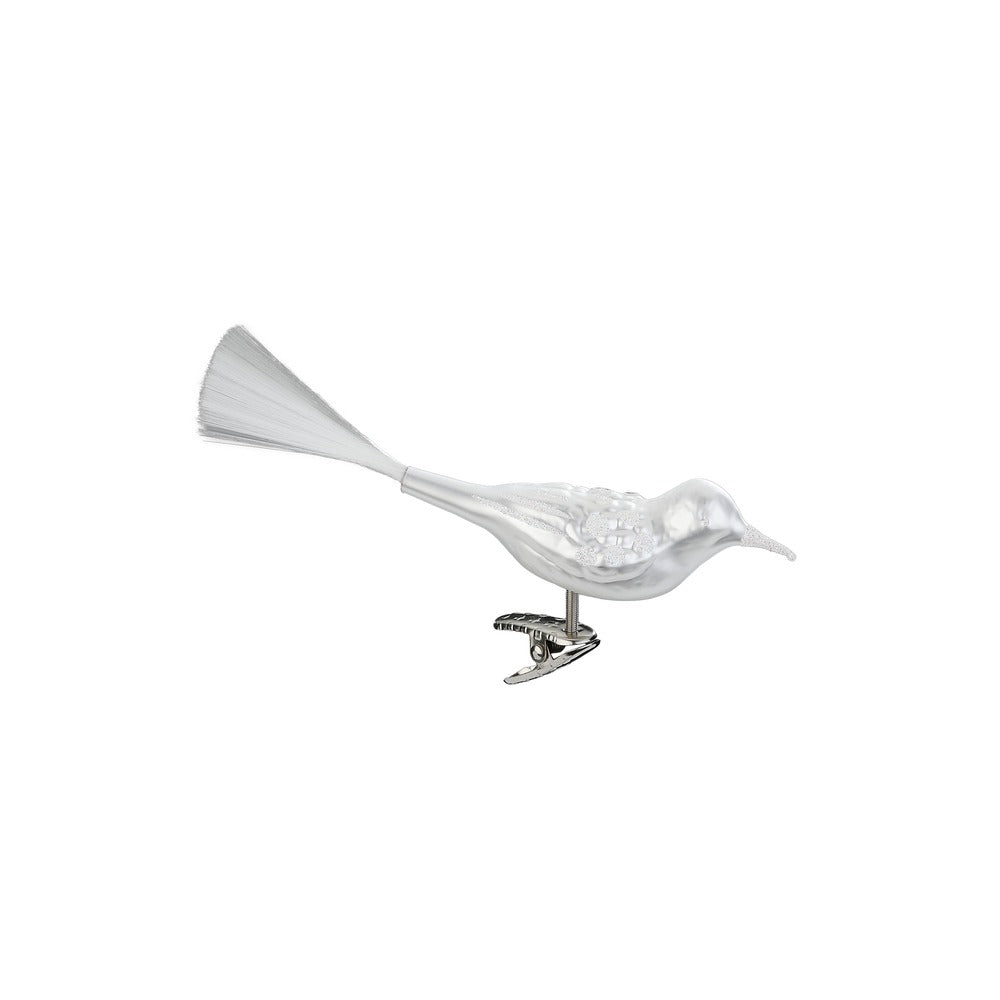 Schneegefieder, 9.5 cm