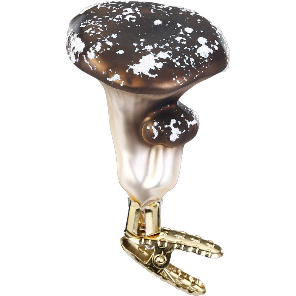 Brown Chanterelle, 2.8''