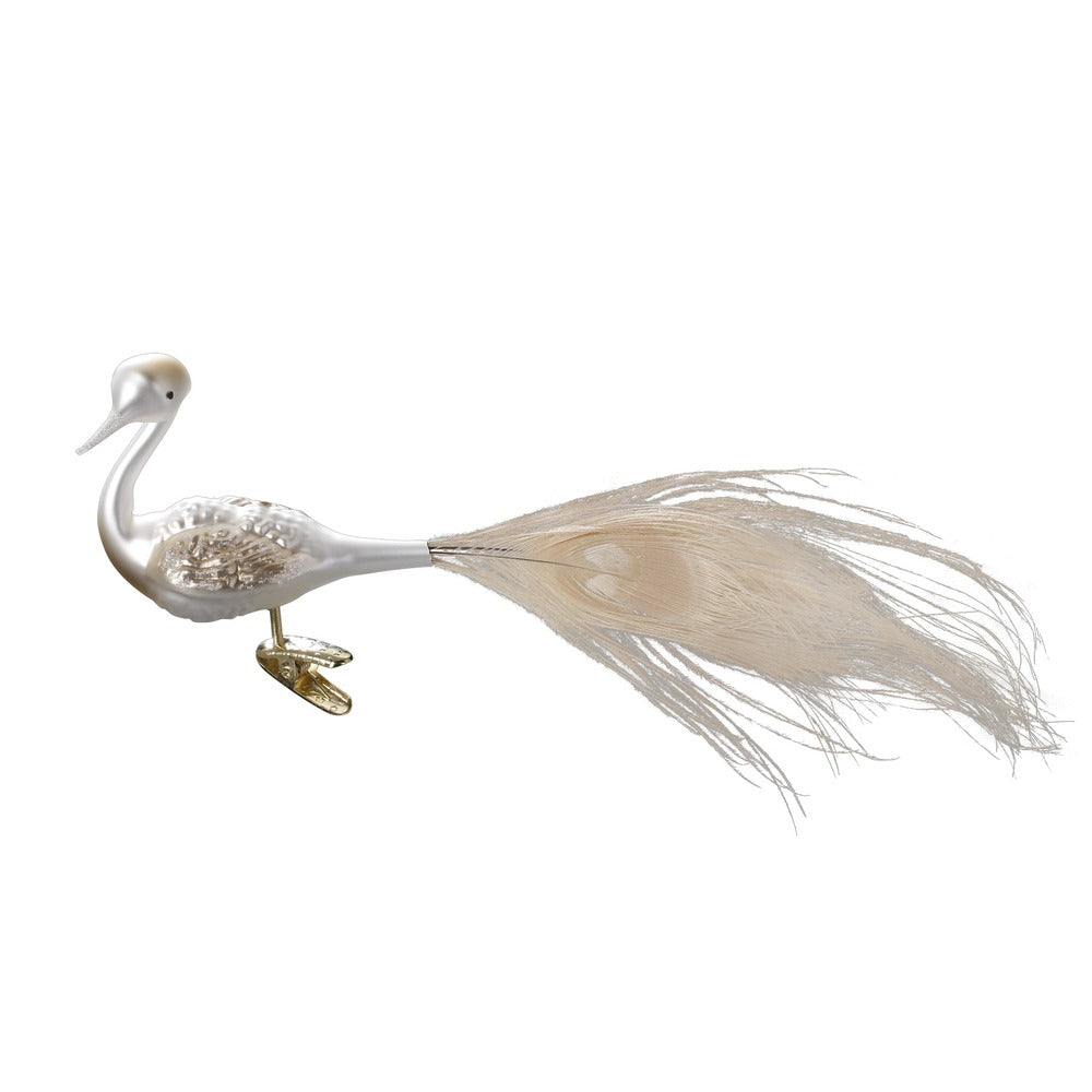 White Peacock, 3.2"
