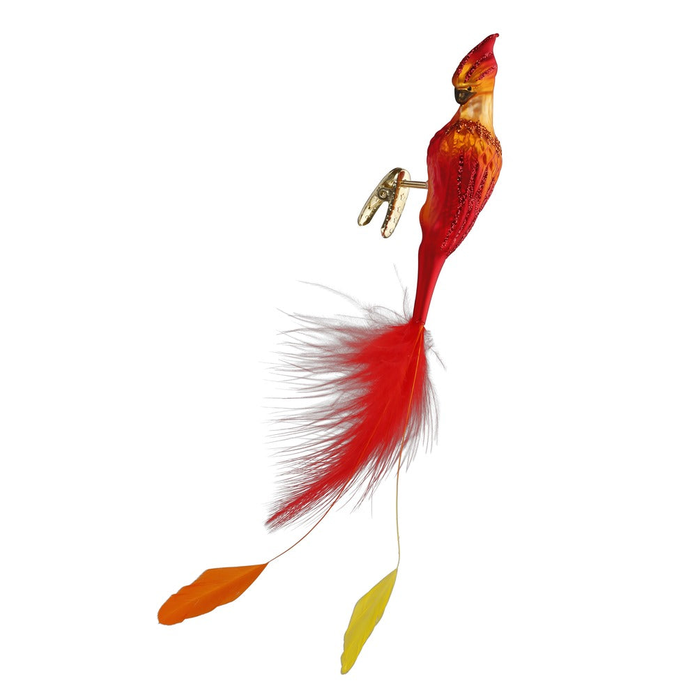 Phoenix, 13 cm