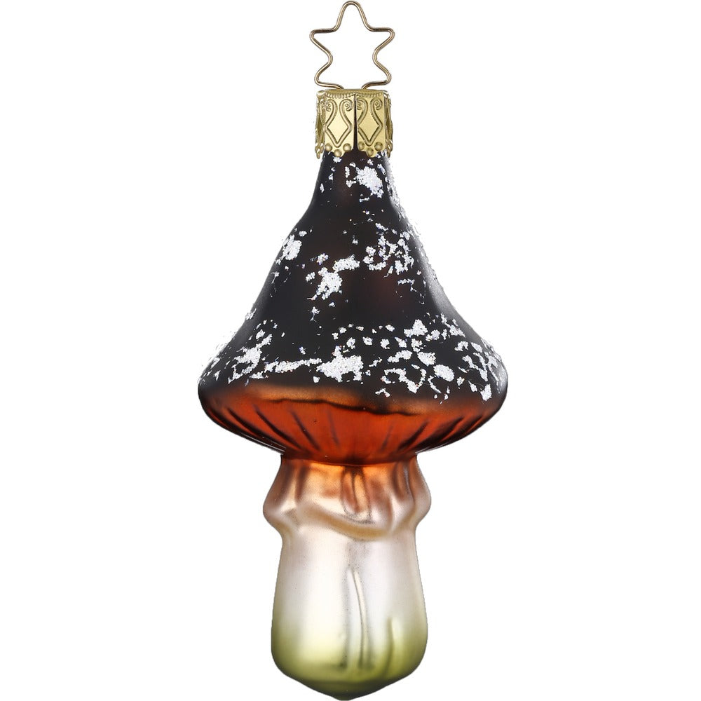 Brown Mushroom, 4''