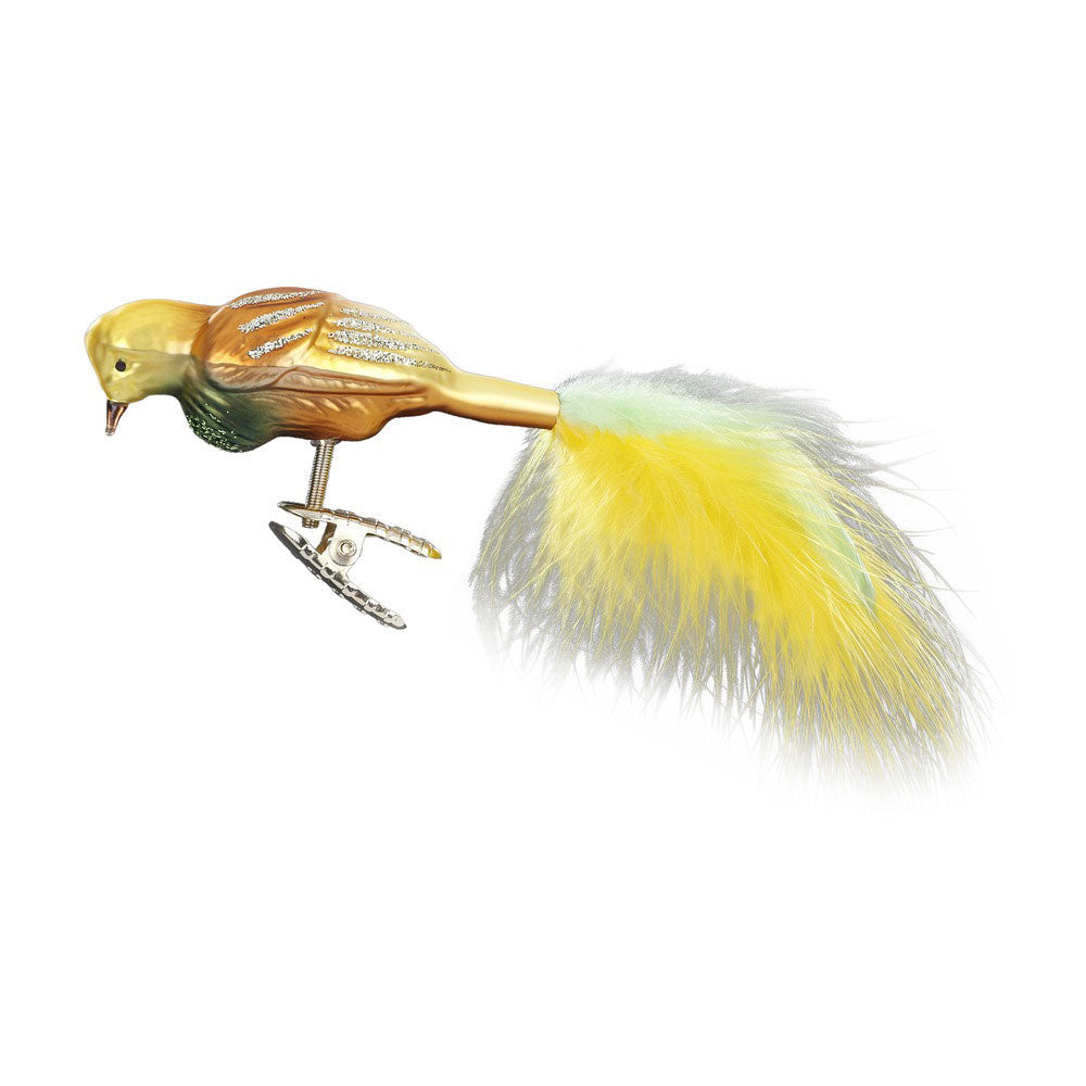 Paradiesvogel, 8.5 cm
