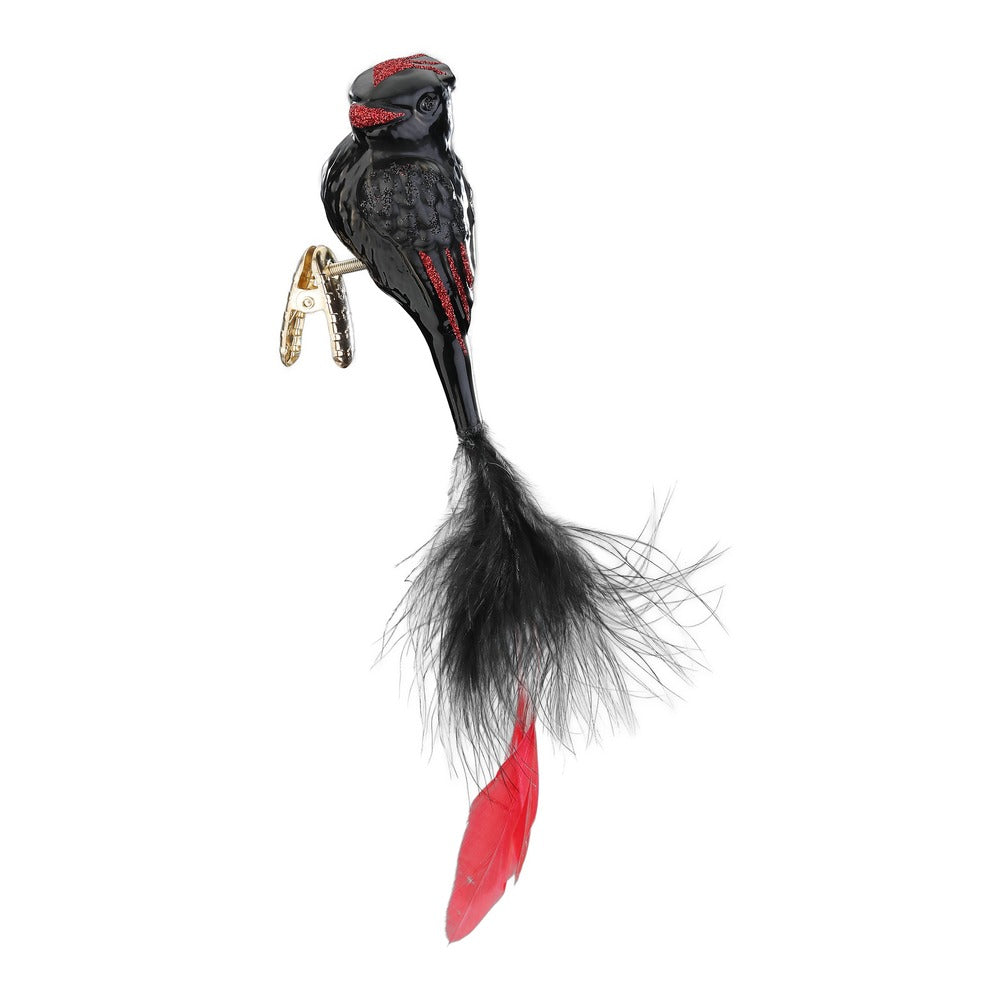 Federpracht, 9 cm