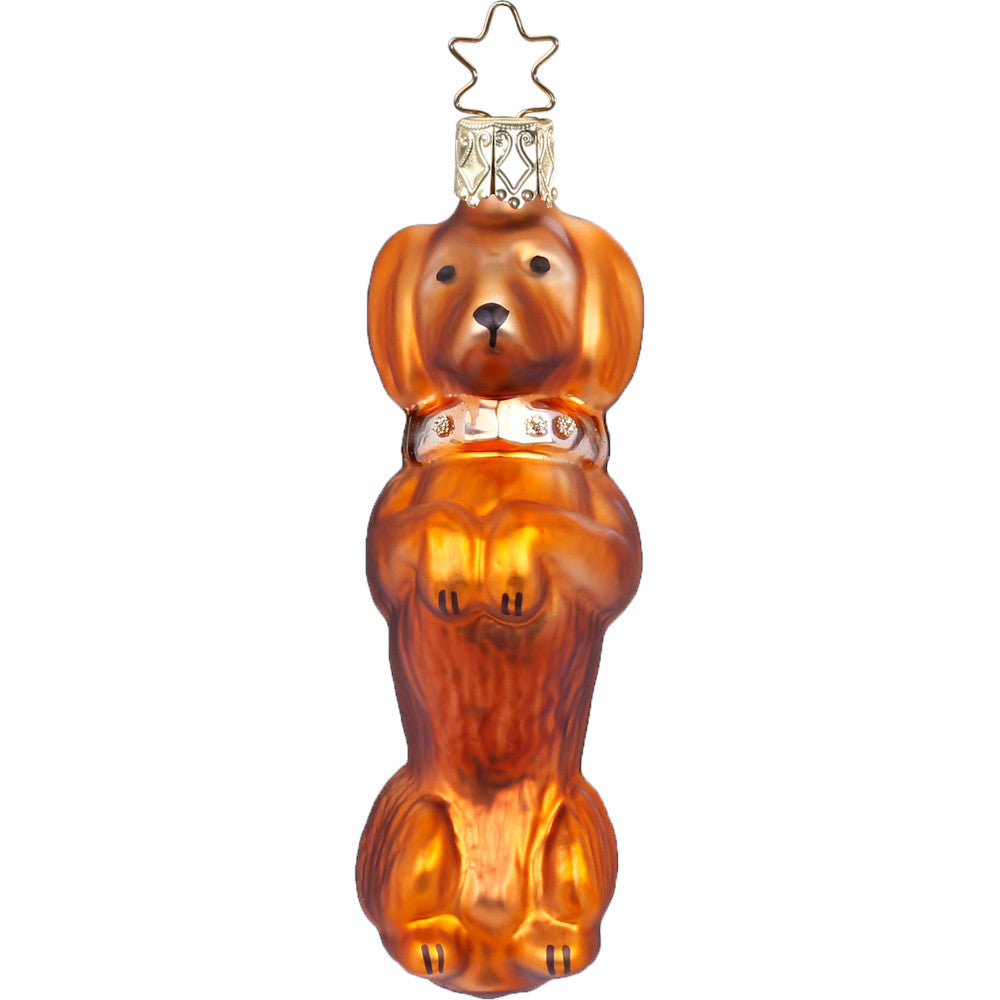 Dachshund, 3.8''