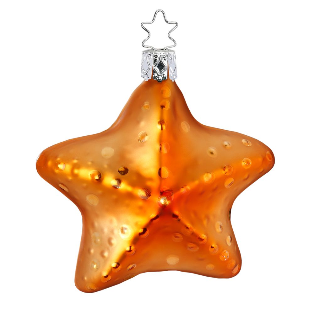 Starfish, 3.4''