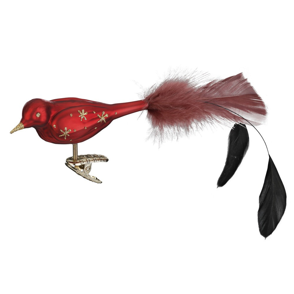 Star Bird, 3.6''