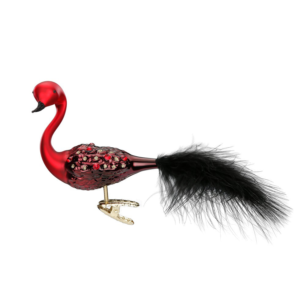 Peacock Splendor, 3.6''