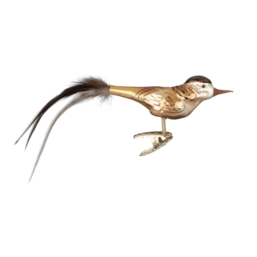 Eurasian Skylark, 3.6''