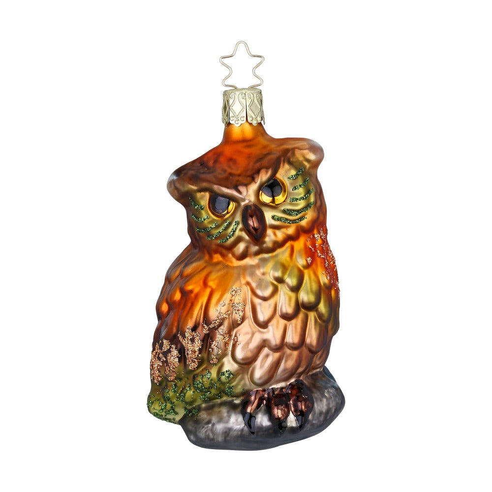 Waldeule, 10.5 cm