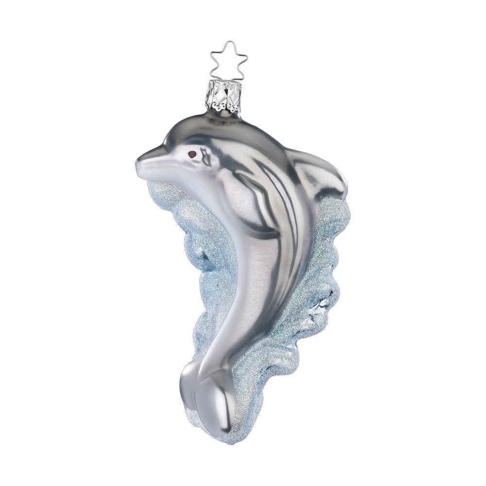 Dolphin, 5''