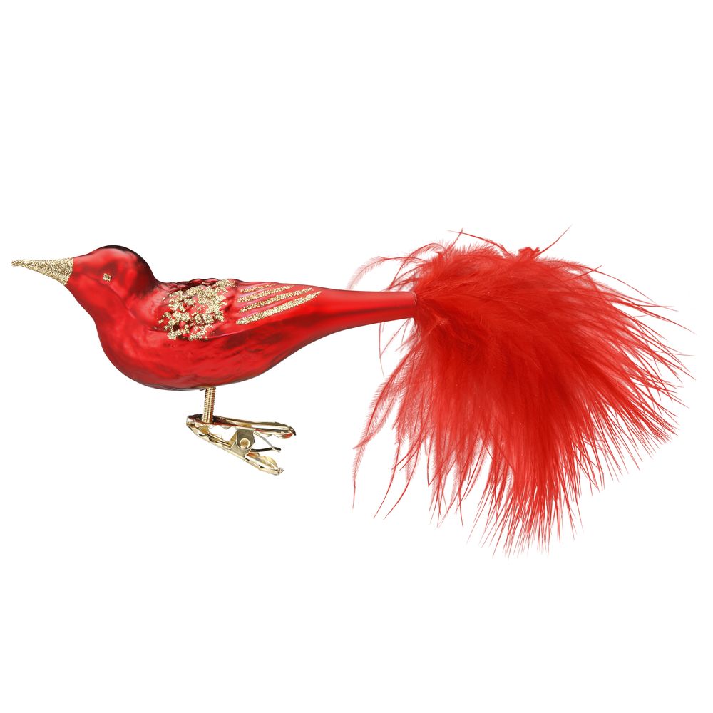 Red Beauty, 11 cm