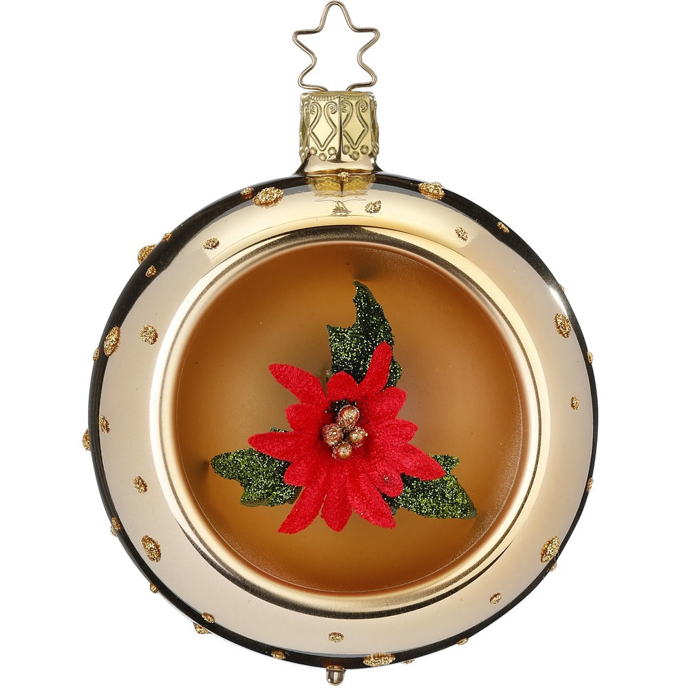 Weihnachtsstern, 8 cm
