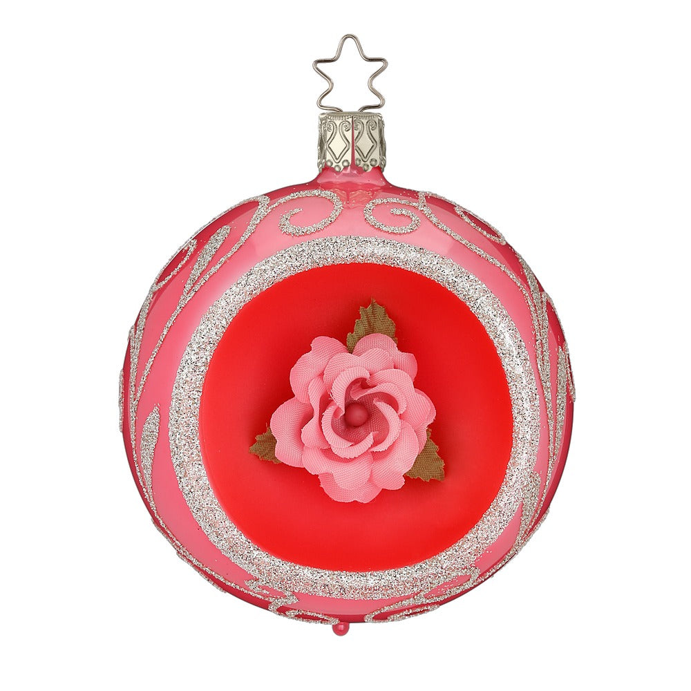 Winterrose, 8 cm