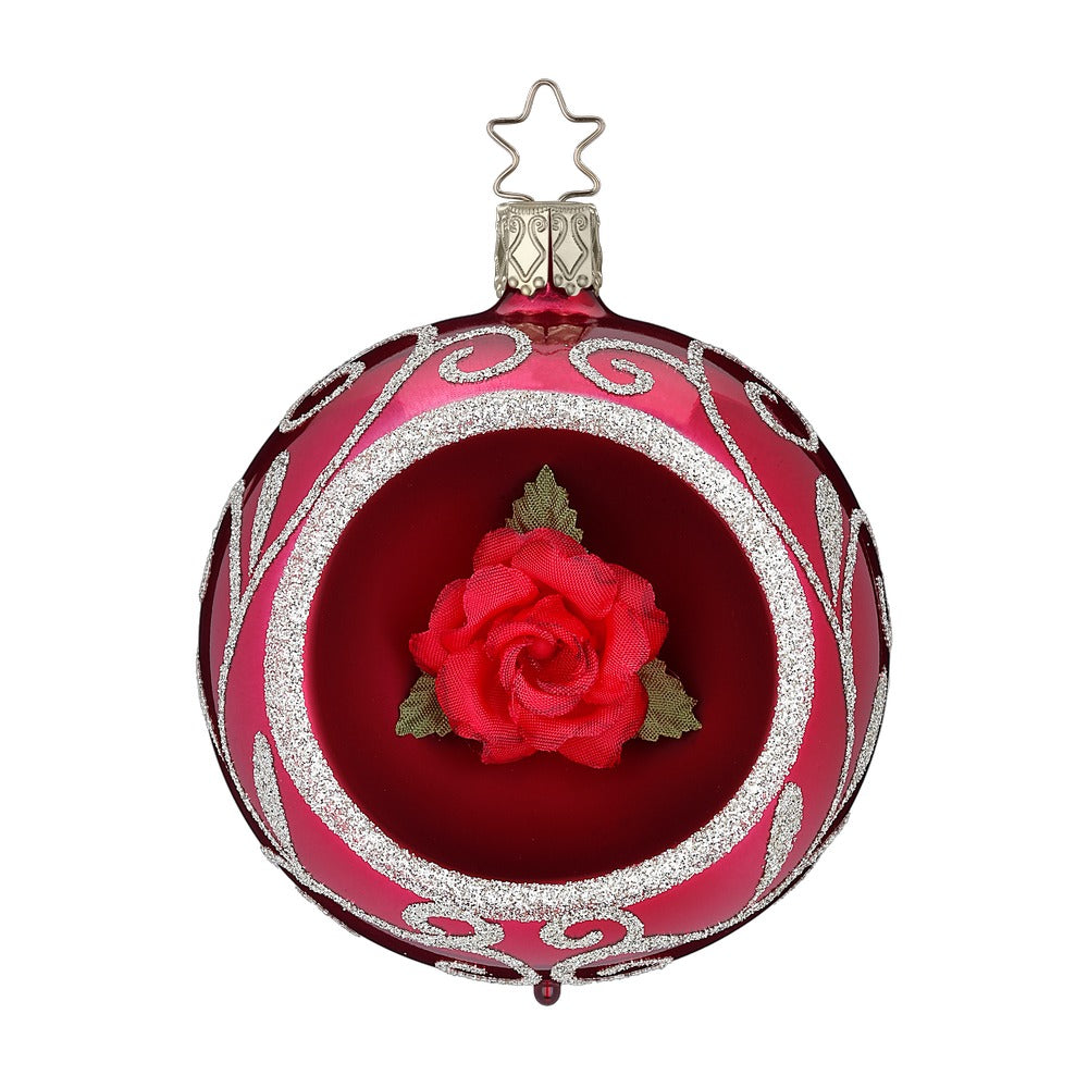 Winterrose, 8 cm